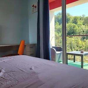 Private Room-2 In Hannana Apartment- 2 Min Walk To Tram 12 Min To Nice Train Station 15 Min To Massena Place Séjour chez l'habitant Nice